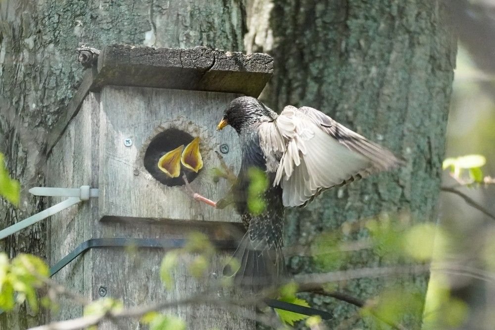 Photograph by Алфия Бугакова