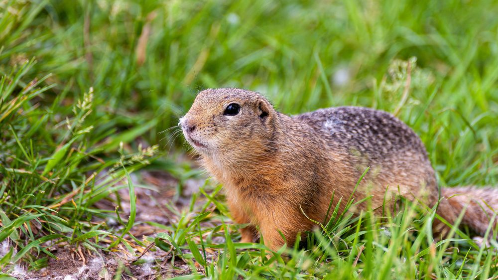 Photograph by Вадим Басов