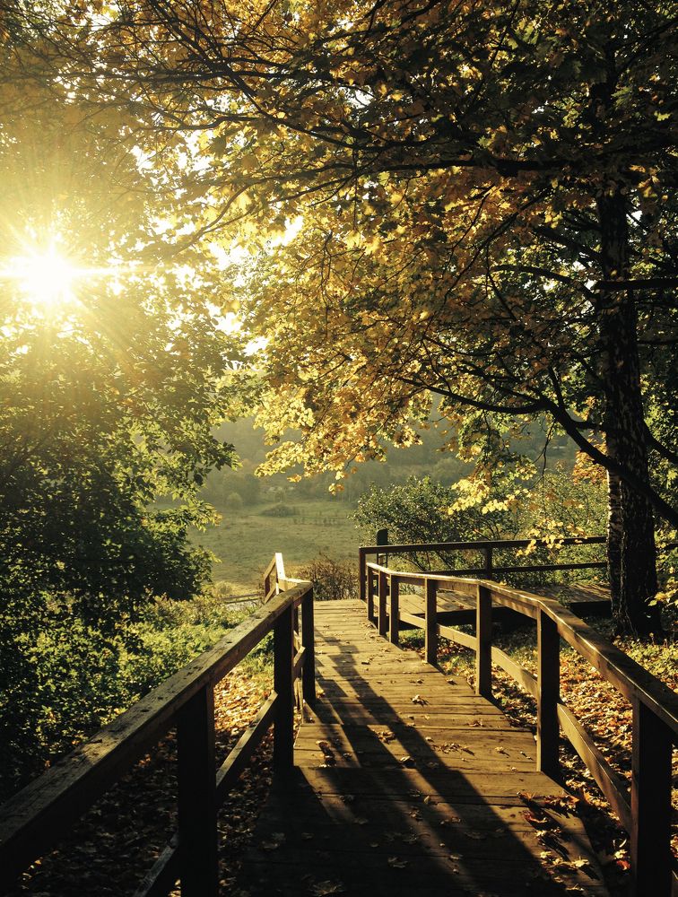 Склон в Куркино.