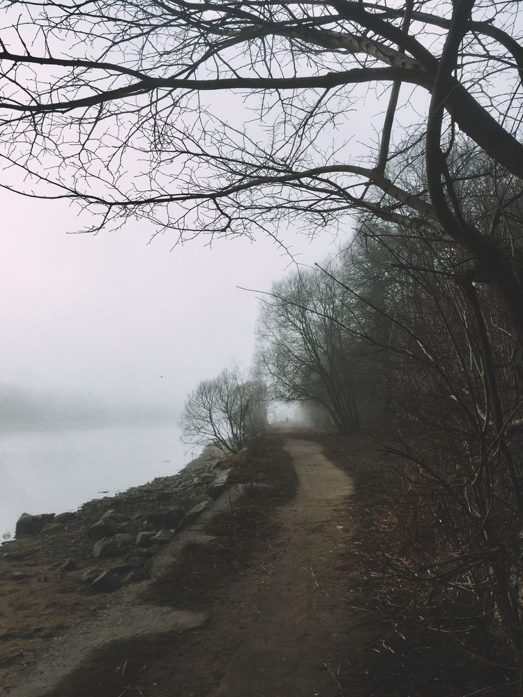 Photograph by  Дмитрий Михайлович