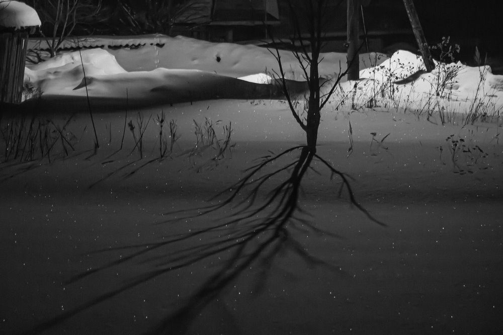 Photograph by Андрей