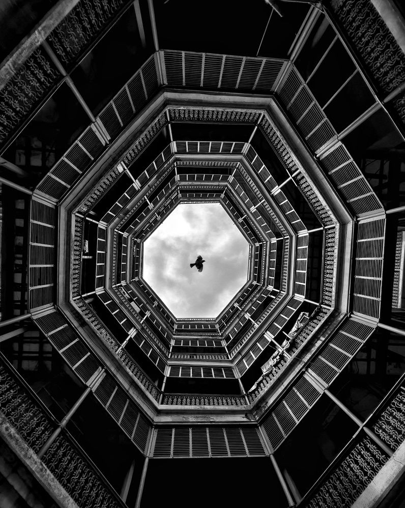 Фотография автора Pavitra Shettigar