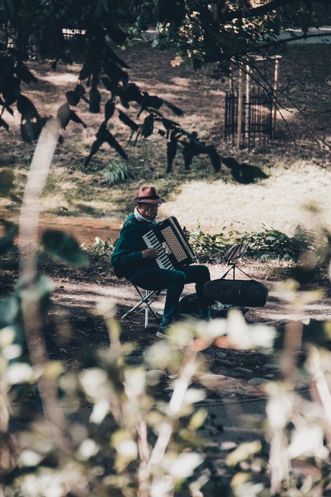 Фотография автора Александр Шмелёв