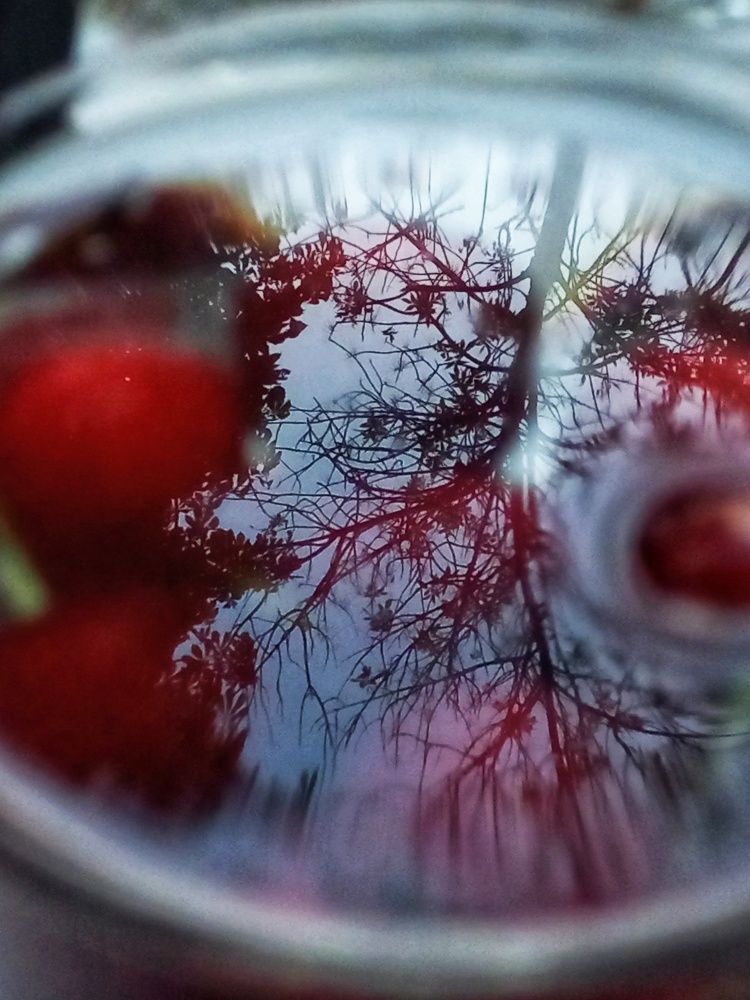 Photograph by Елена Никитина