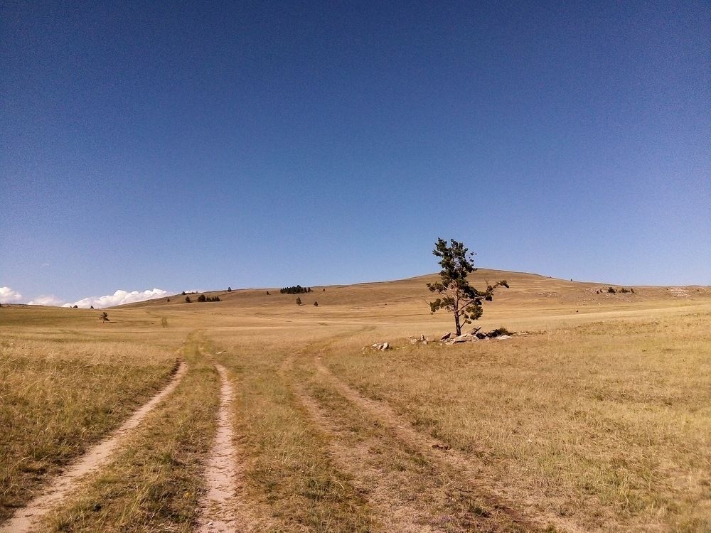 Photograph by Ирина Корнева