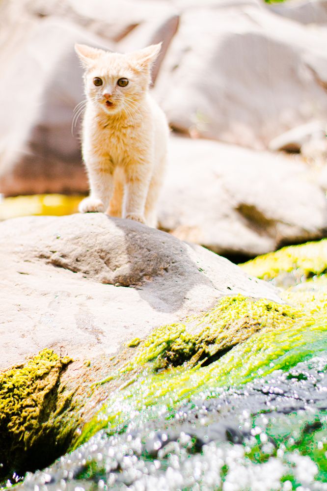 Photograph by kobra akbari