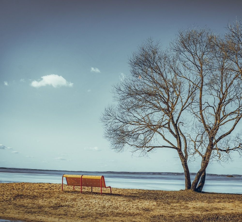 Photograph by Елена Пасажицкая