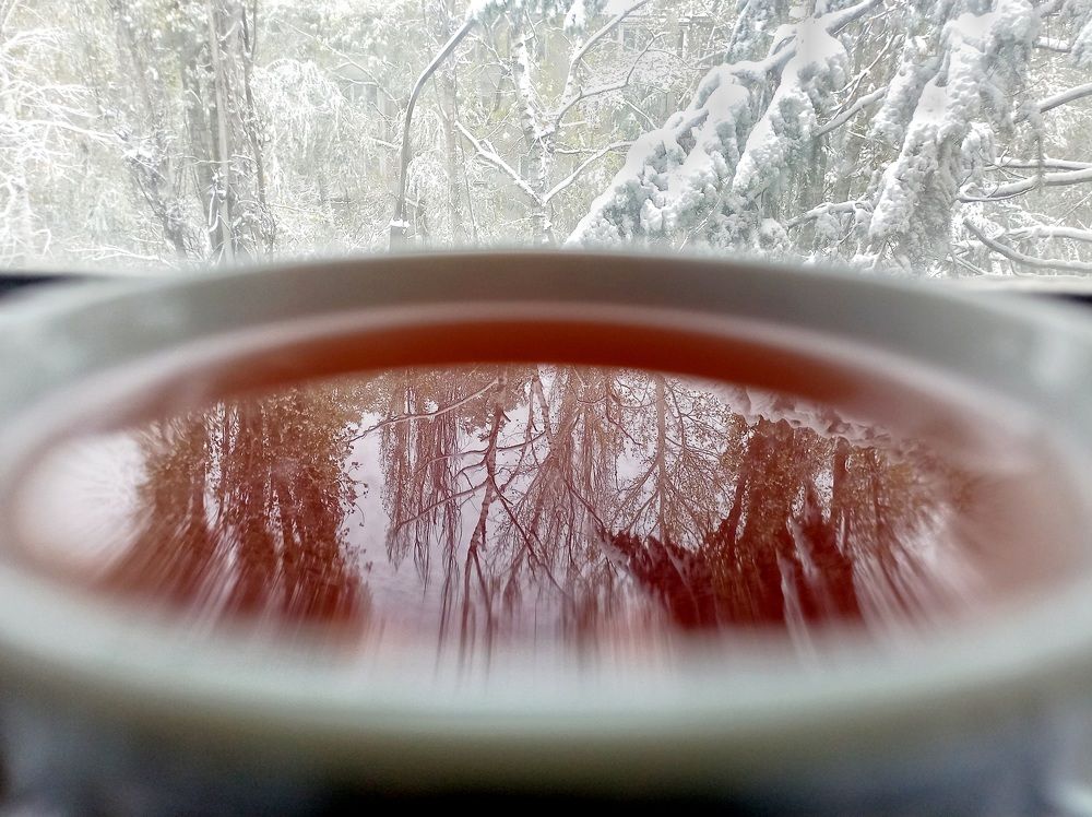 Photograph by Елена Никитина