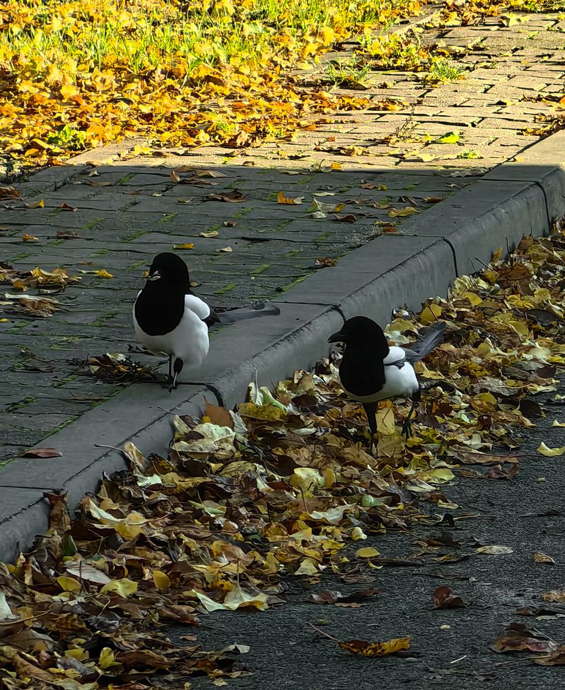 Фотография автора Ольга Панасюк
