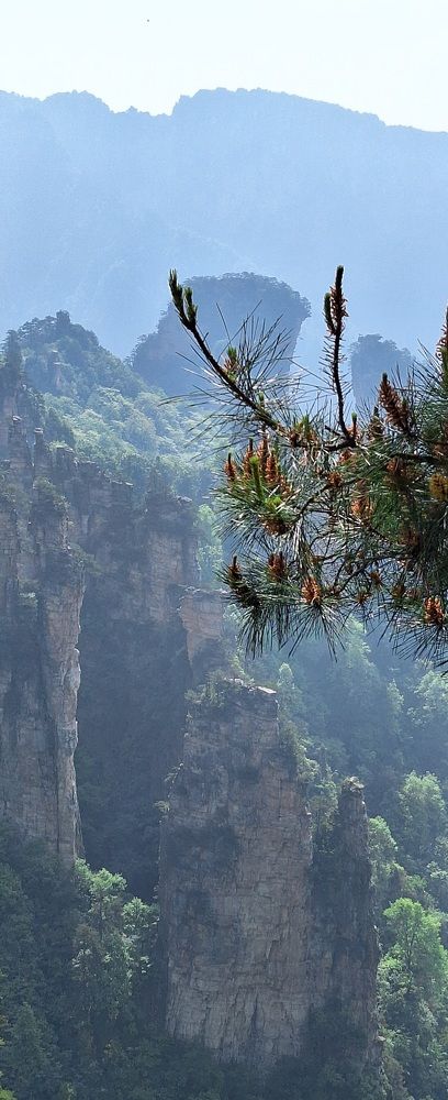 Photograph by Марина Никифорова