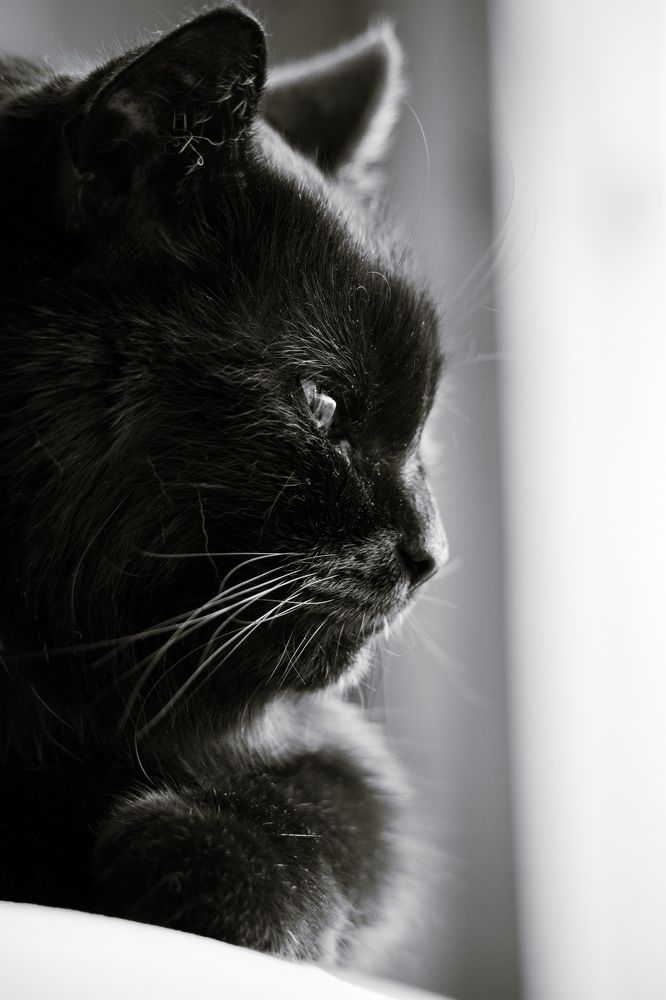 Photograph by Ангелина Высочина