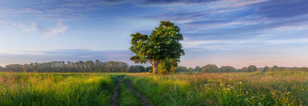 Photograph by Игорь Парсаданов