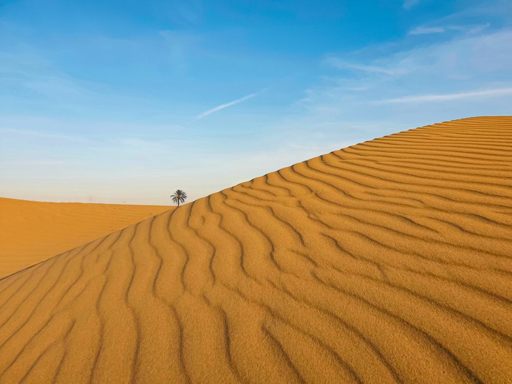 Photograph by Nastaran Pourreza