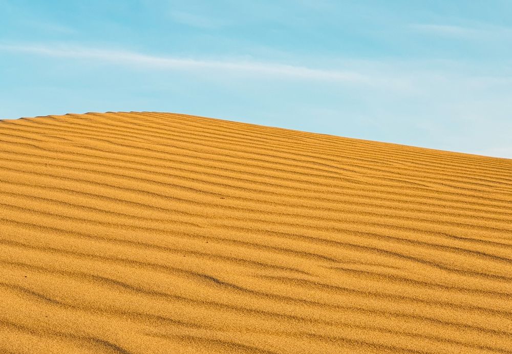 Photograph by Nastaran Pourreza