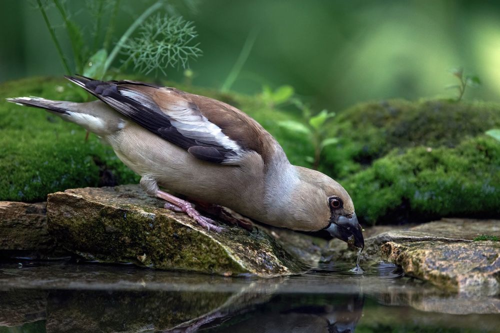 Photograph by Марат Кучкаев