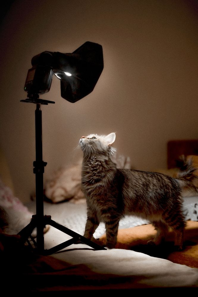 Photograph by Дмитрий Степанов