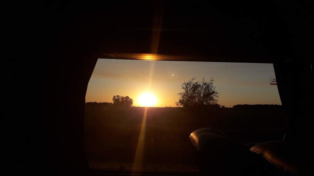 Photo #10783609