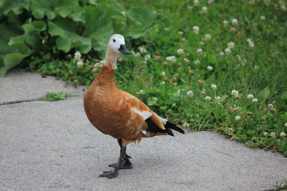 Фотография автора Вячеслав