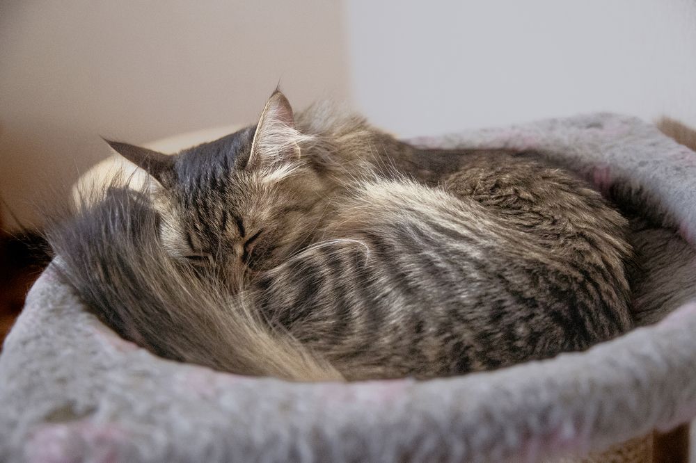 Photograph by Дмитрий Степанов