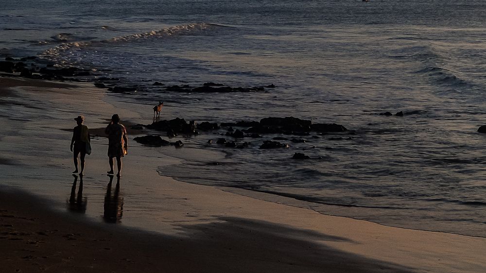 Photograph by Andressa Gomes
