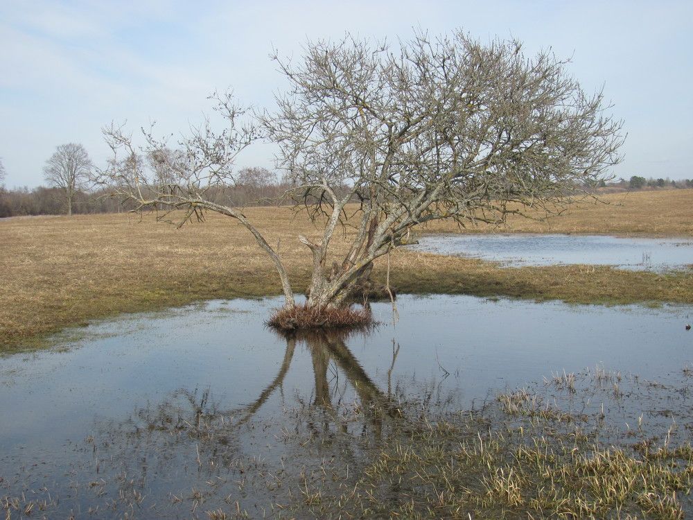 Photograph by Юлия