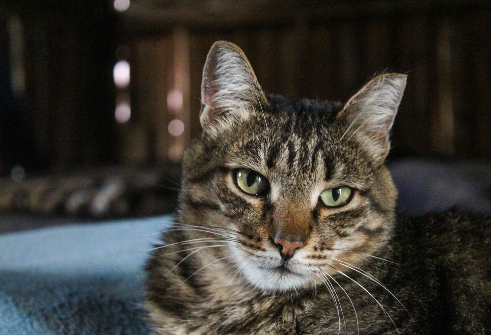 Photograph by Евгения Трубкина