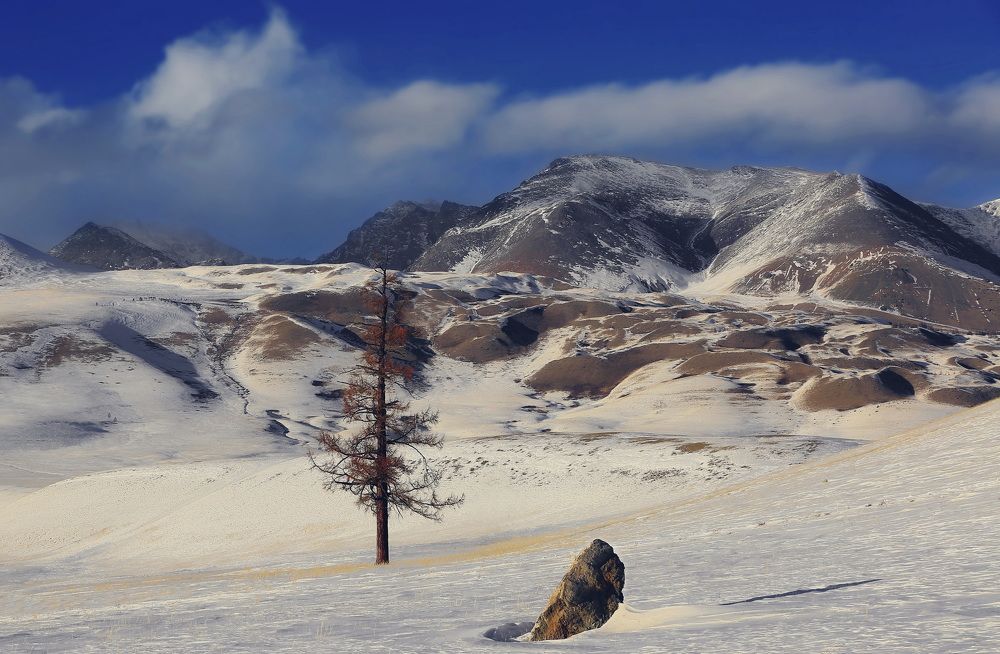 Photograph by Дмитрий Петухов