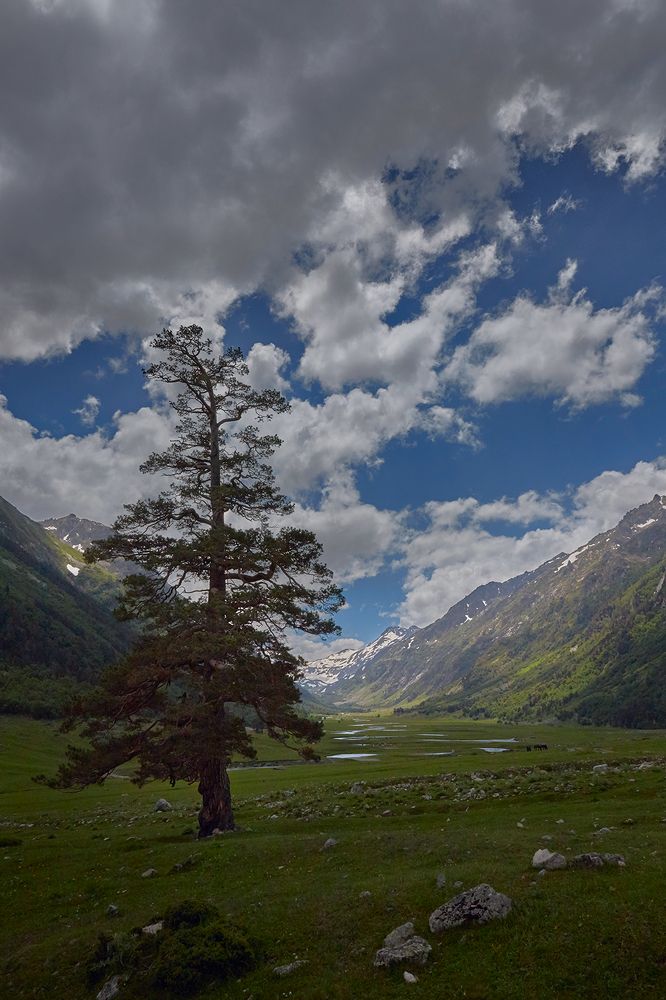 Горная долина