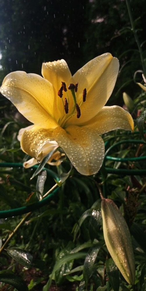 Photograph by Александр Макаренко