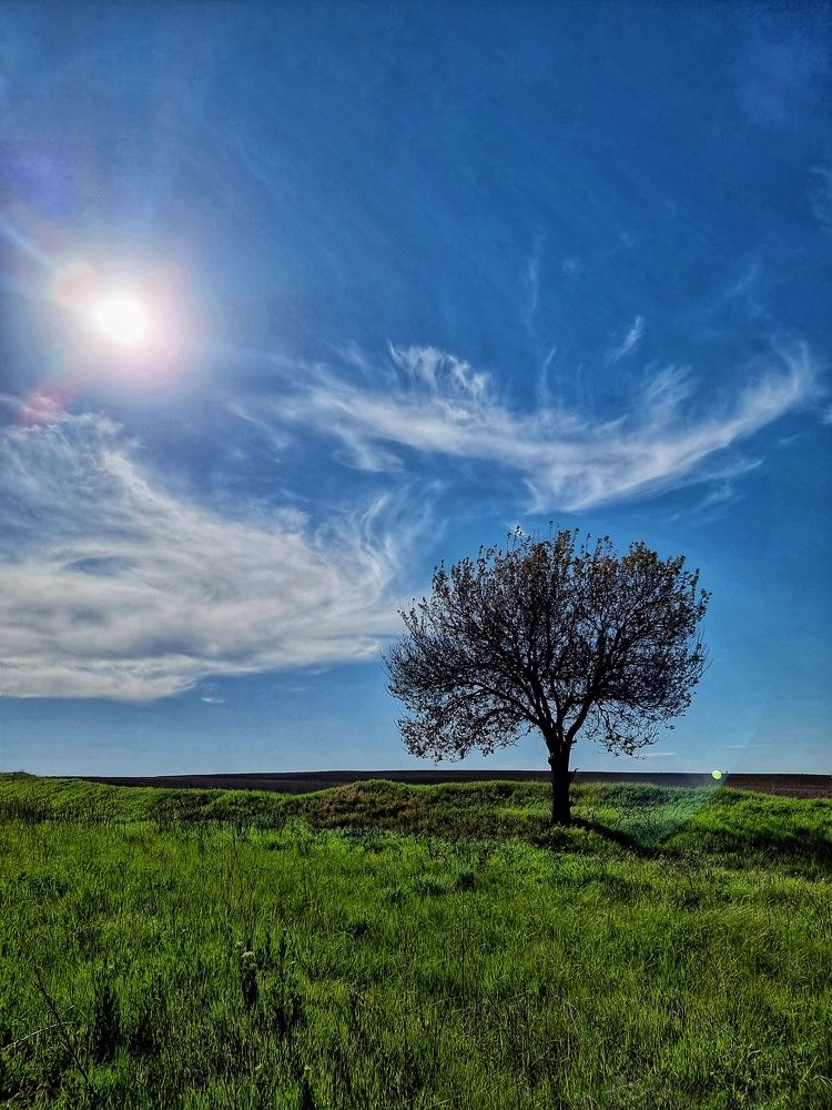 Photograph by Таисия Ищенко