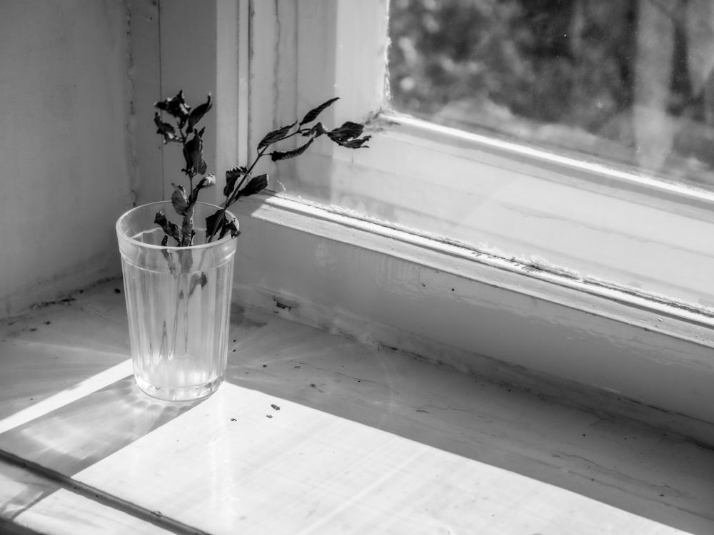Photograph by 