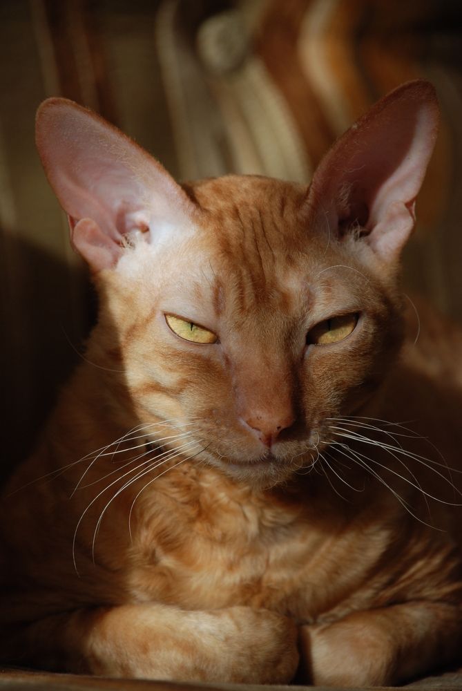 Photograph by Ася Батурина