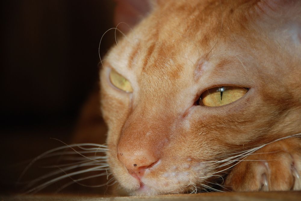 Photograph by Ася Батурина