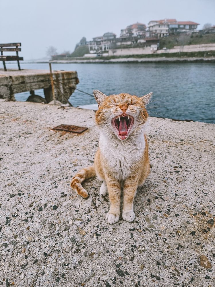 Photograph by Таисия Ищенко