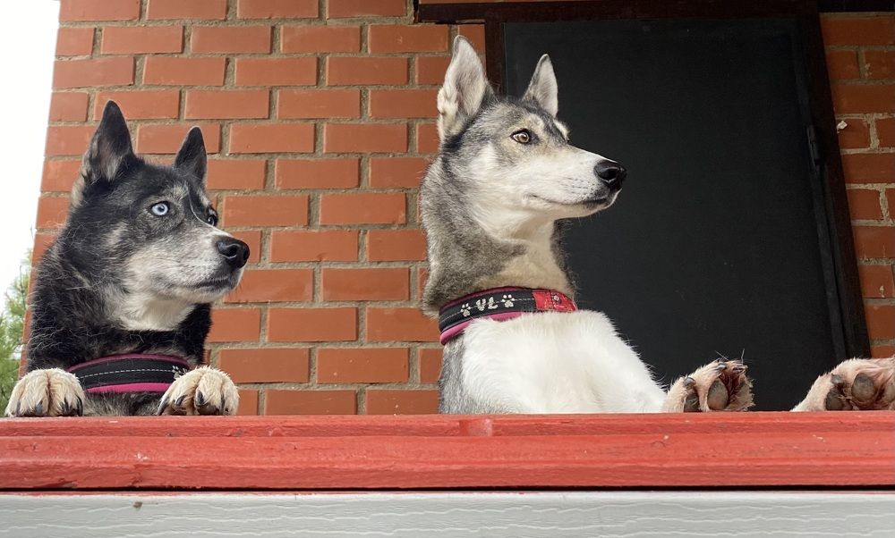 Photograph by Елена Одынец