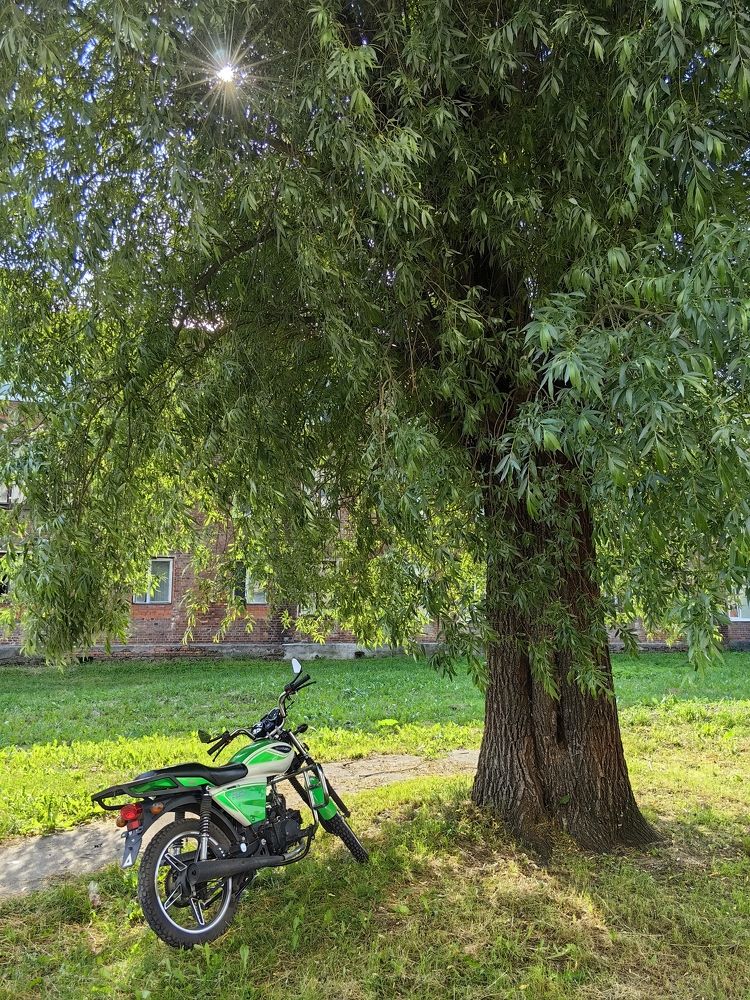 Photograph by Екатерина