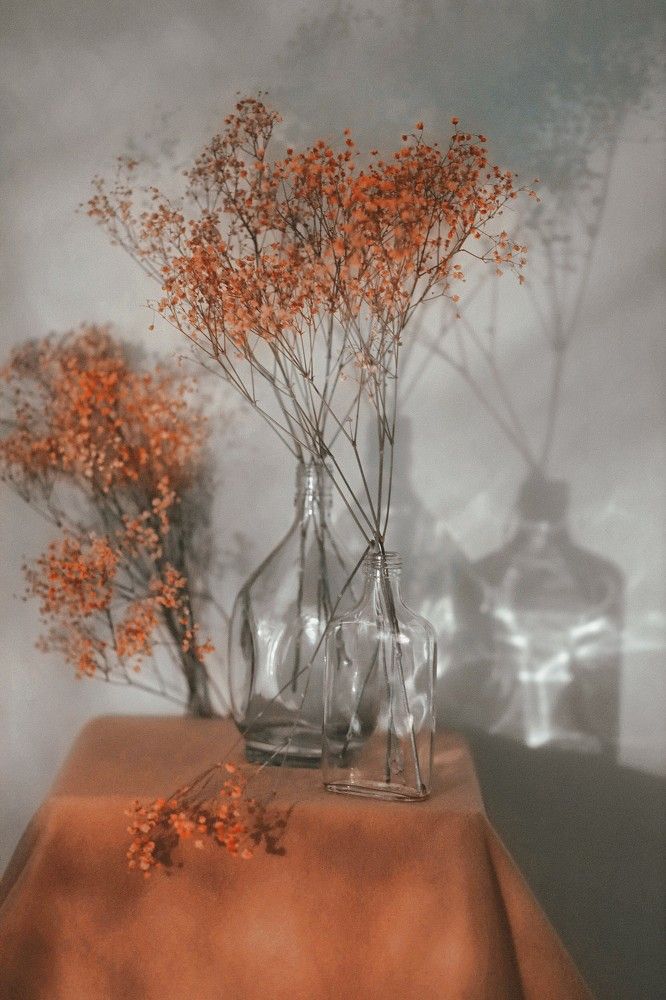 Photograph by Татьяна Максакова