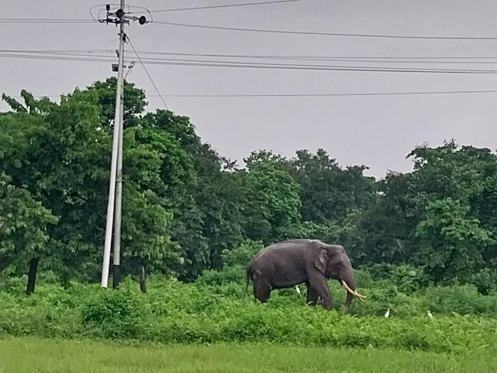 Photograph by Rahul Raman