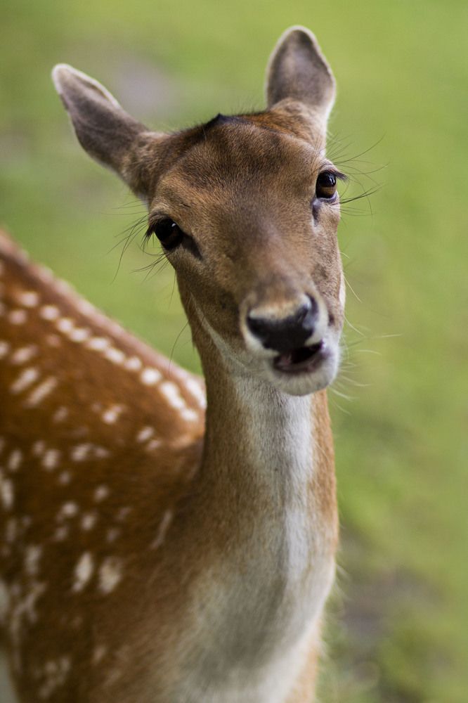 Photograph by Майя Чехова