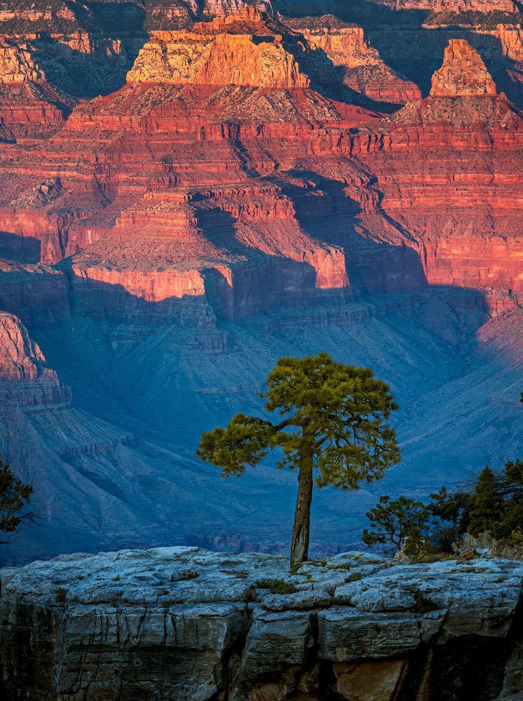 Photograph by Hanh P. T. Pham