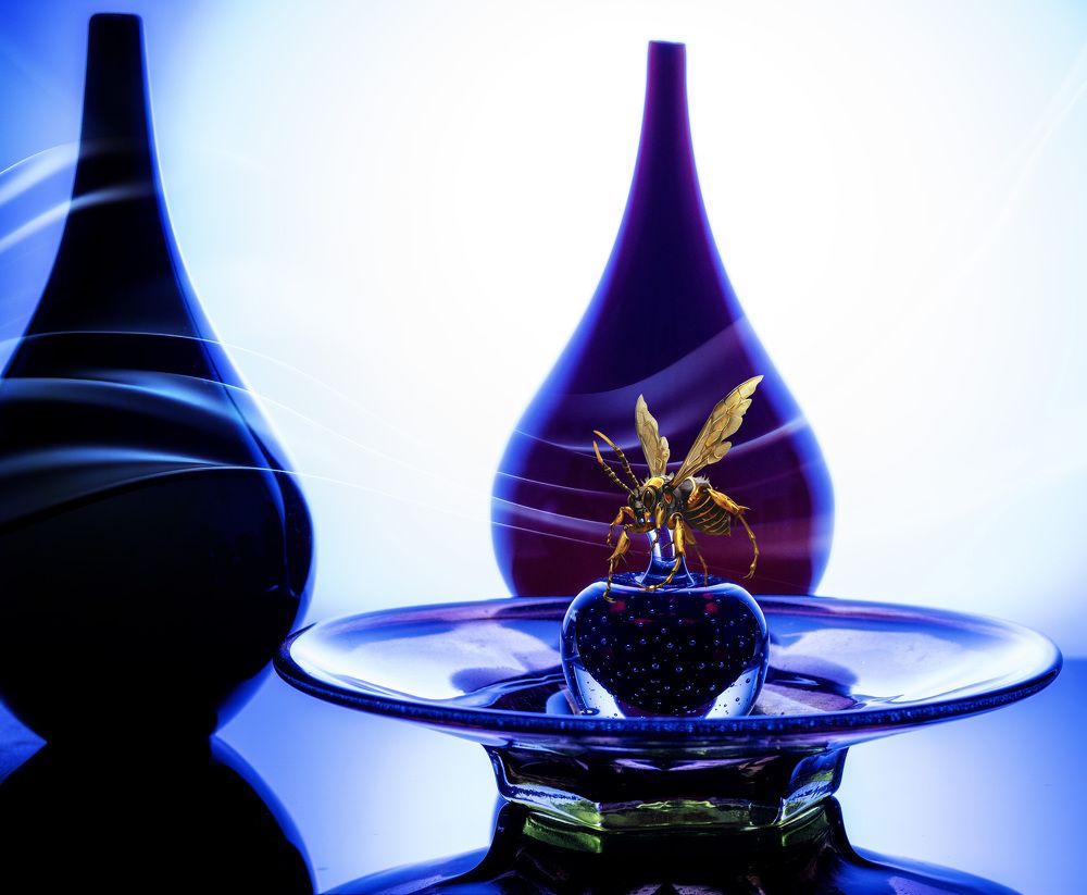 Фотография автора Igor Lukin