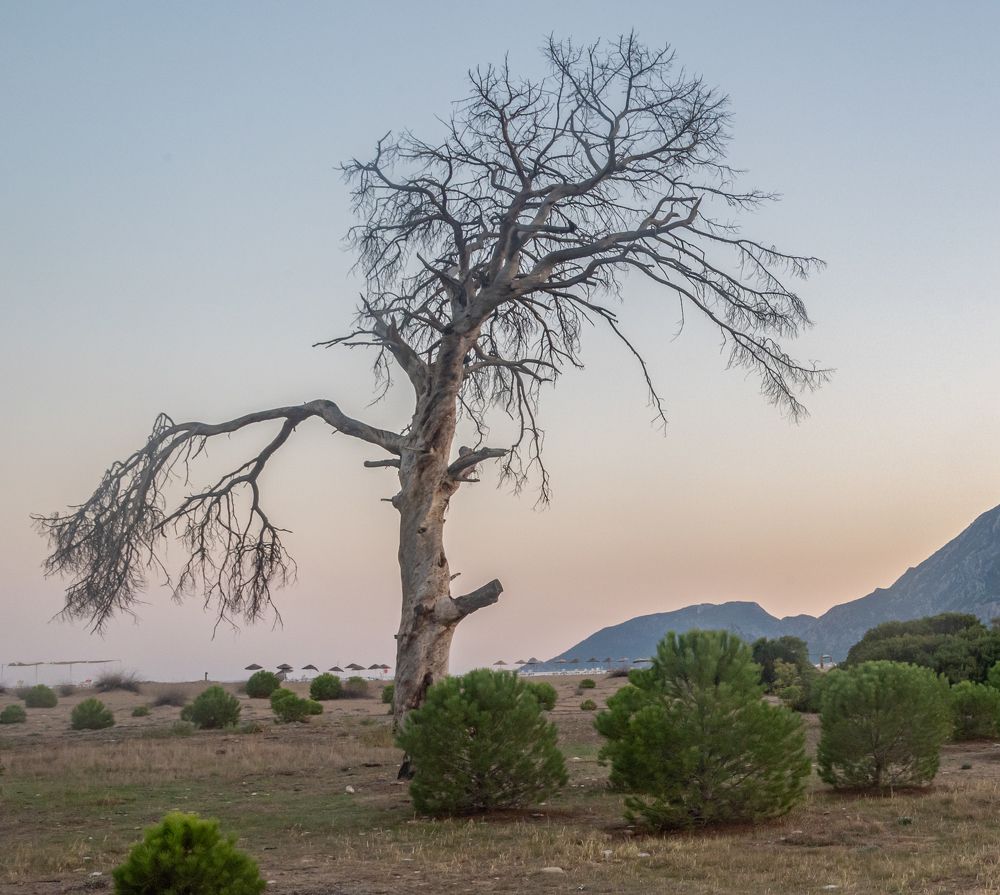 Photograph by Савчук Сергей