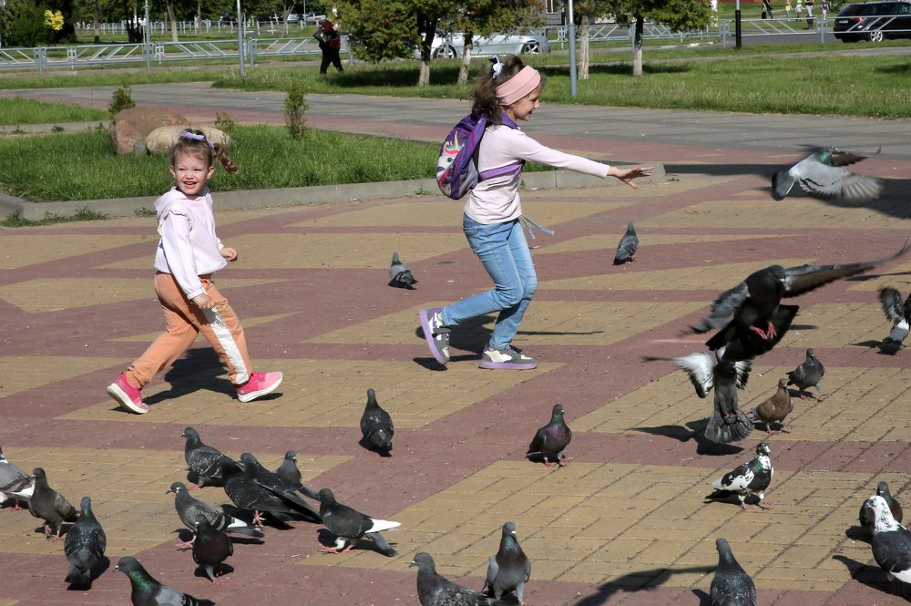 Фотография автора Николай Семенец