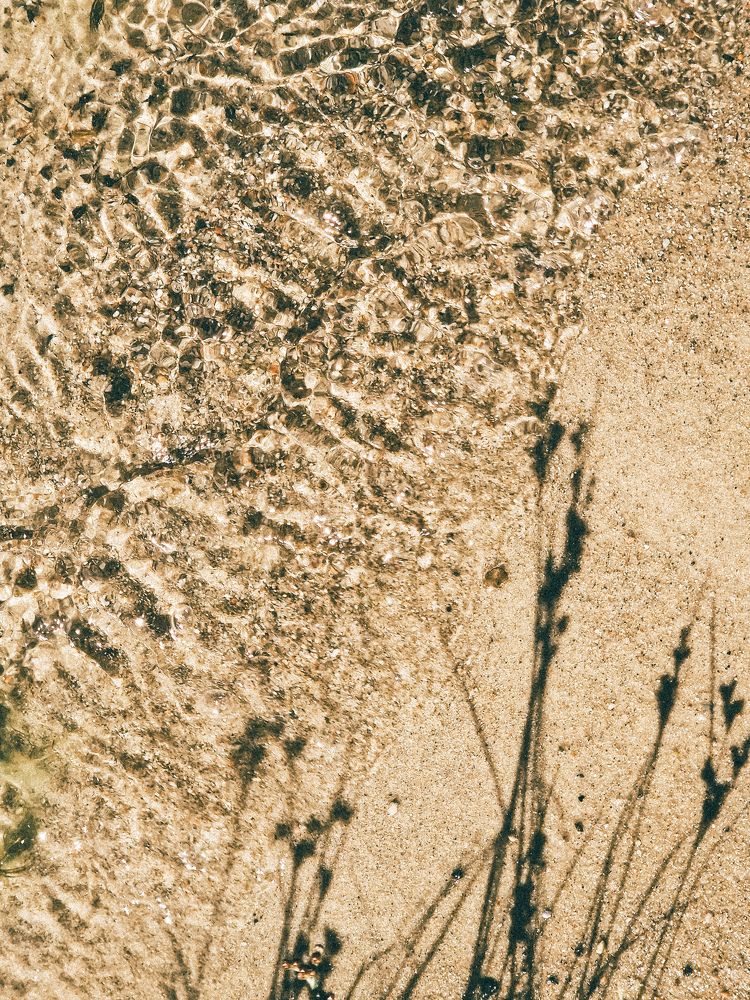 Фотография автора Liidia Klemmer