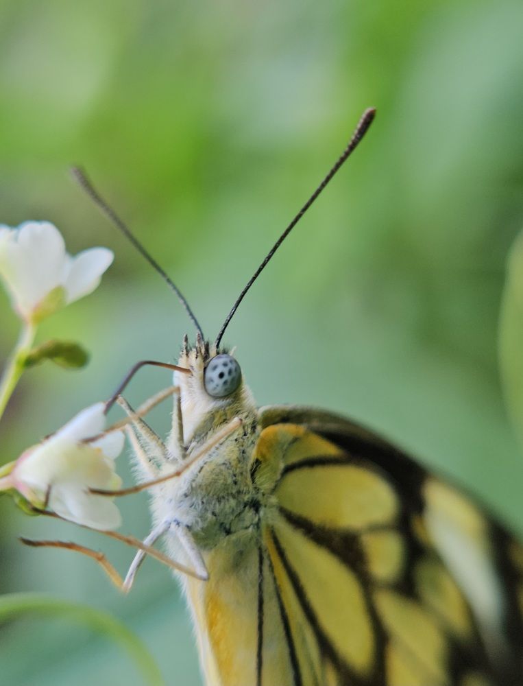 Photograph by Satheesh T S