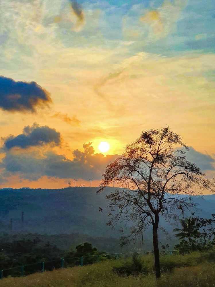 Photograph by Dr Manoj M Kumar