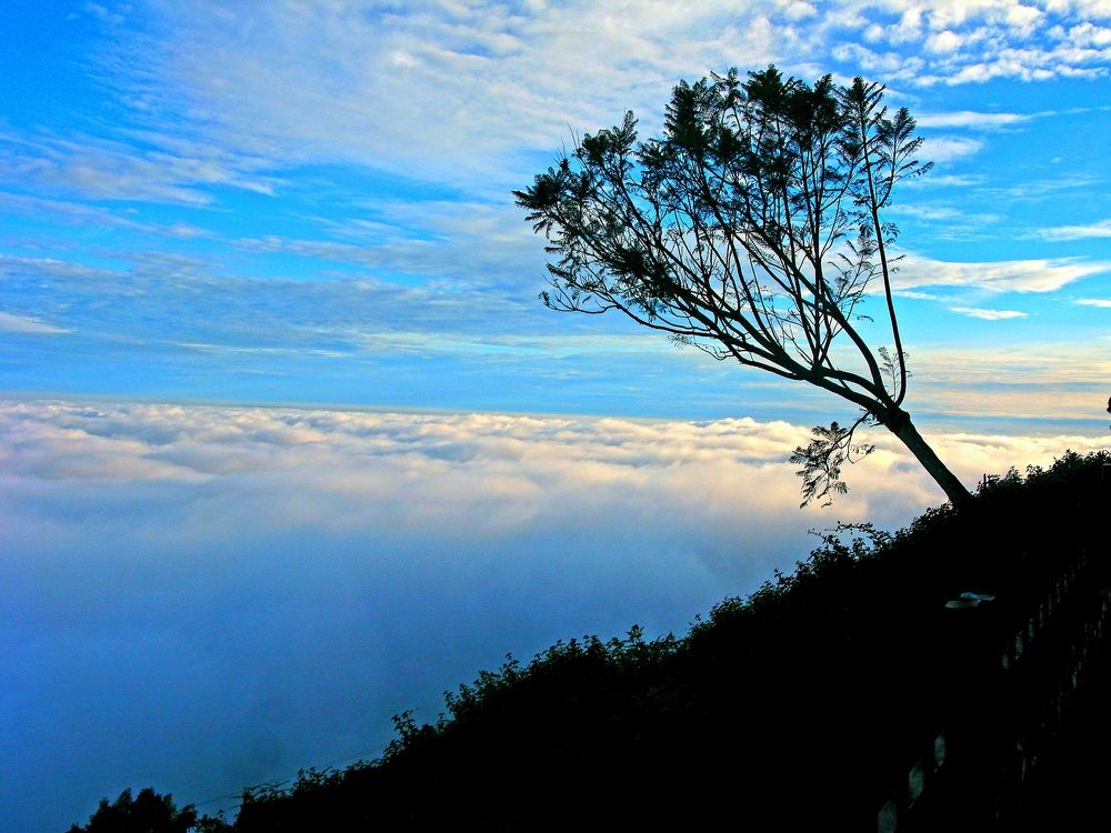 Photograph by Dr Manoj M Kumar