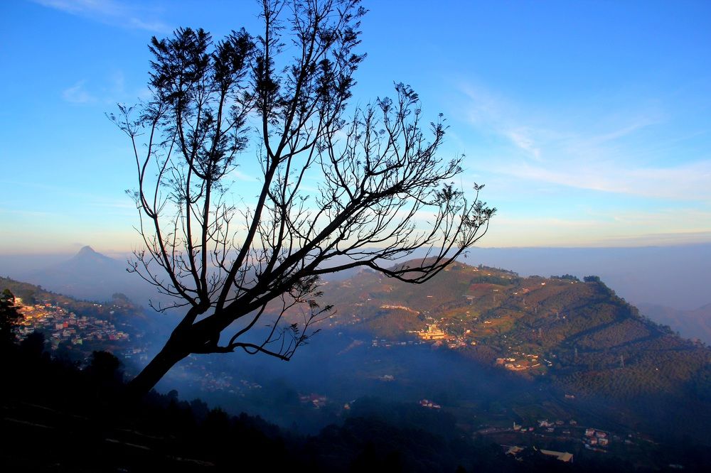 Photograph by Dr Manoj M Kumar