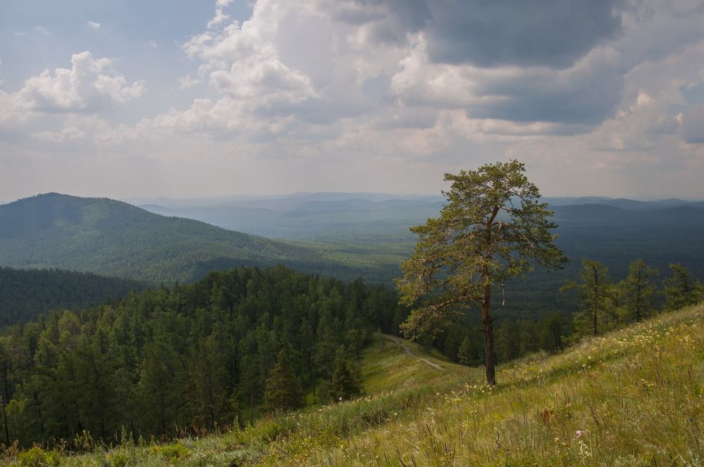 Photograph by Ольга Шуякова