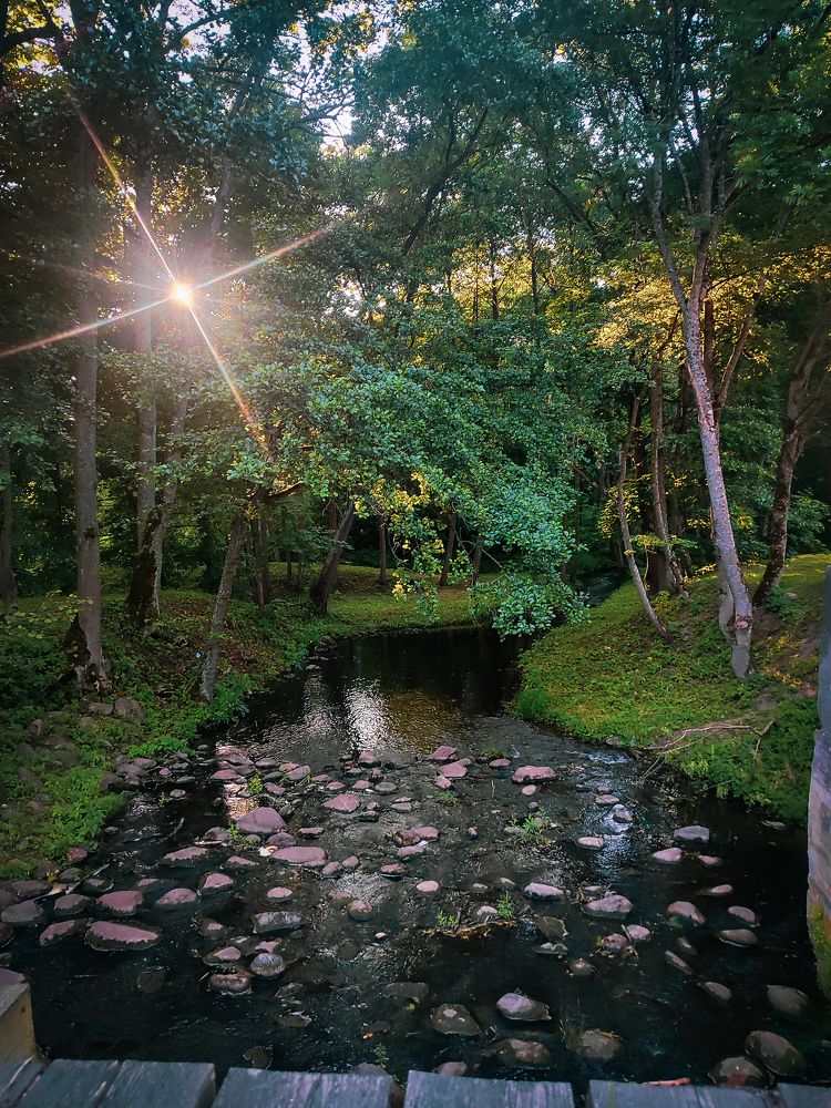 Photograph by Siarhei Pliuto